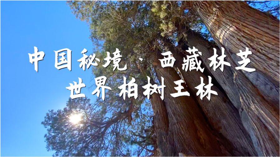 提供“最后一公里”延伸服务
